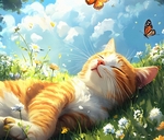 Аватара пользователя