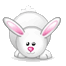 Кролик :rabbit: