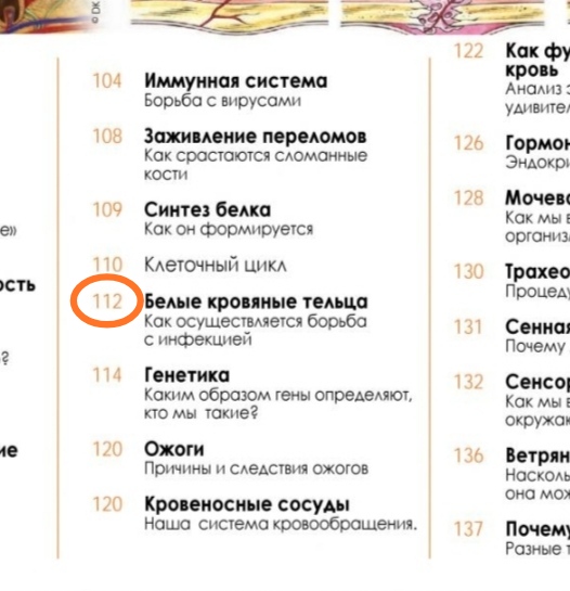 Блог mudder - IMG_20210625_221214.jpg