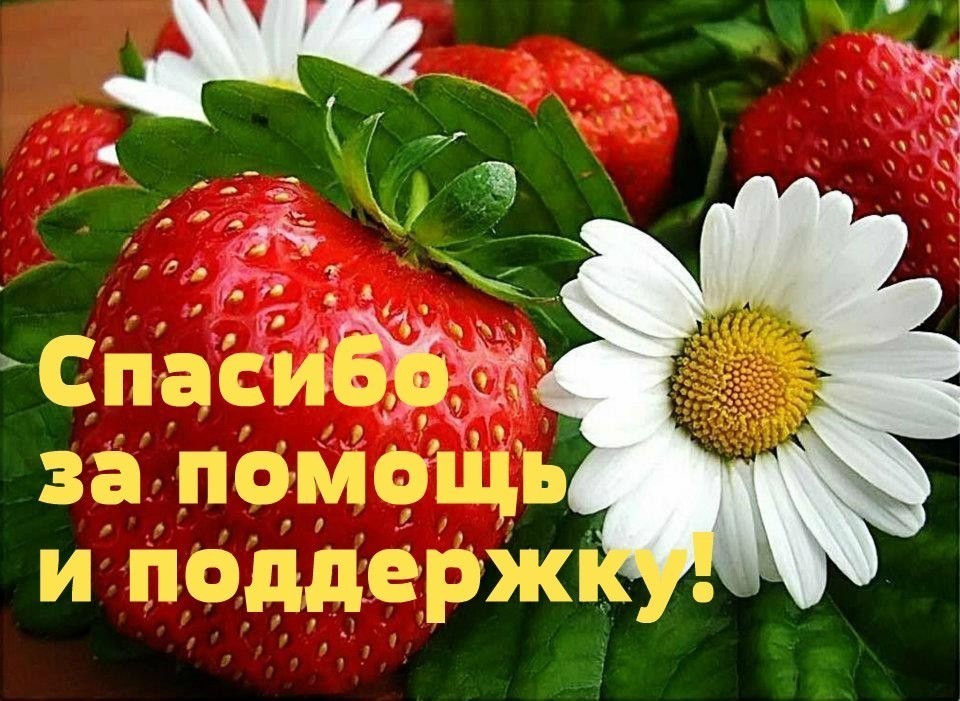 JulijaNi  - Спасибо за помощь и поддержку.jpg