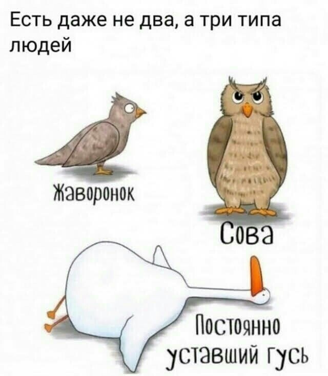 3 типа людей - 3type.jpg