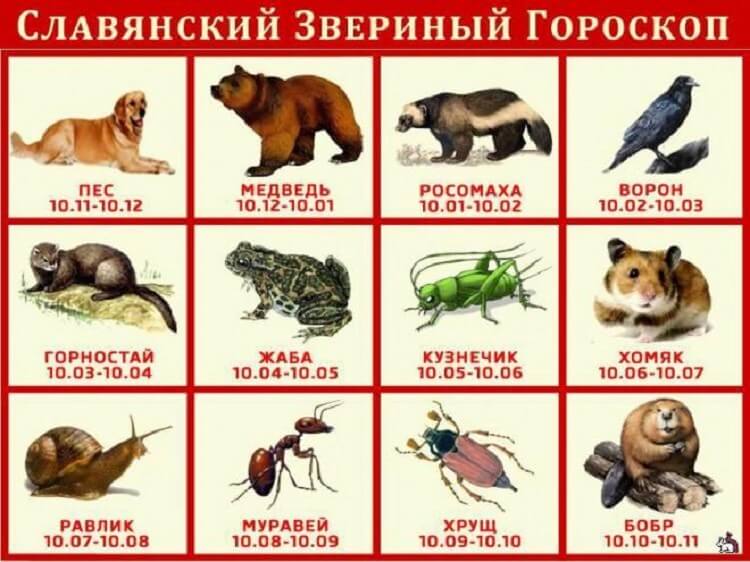 Блог mudder - 1-18.jpg