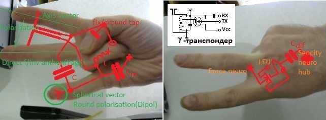 Gamma_TCV - Gamma_Mount.jpg