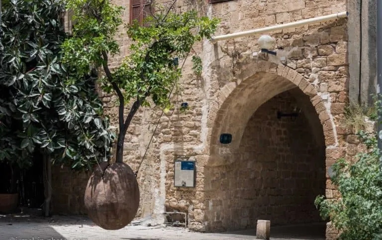 Блог mudder - IMG_20210822_195408.jpg