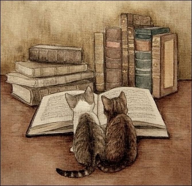 Раааз.. двааа.. три.. Блог Ликульки Свети :  - Читающие коты _ Кот и кошка.jpeg