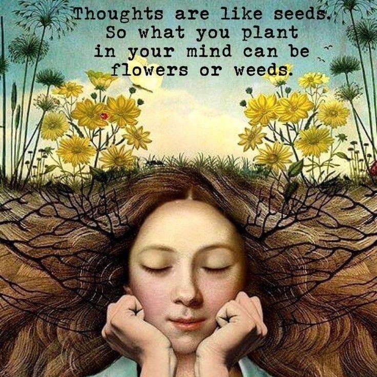 Раааз.. двааа.. три.. Блог Ликульки Свети :  - Thoughts are like seeds_.jpeg