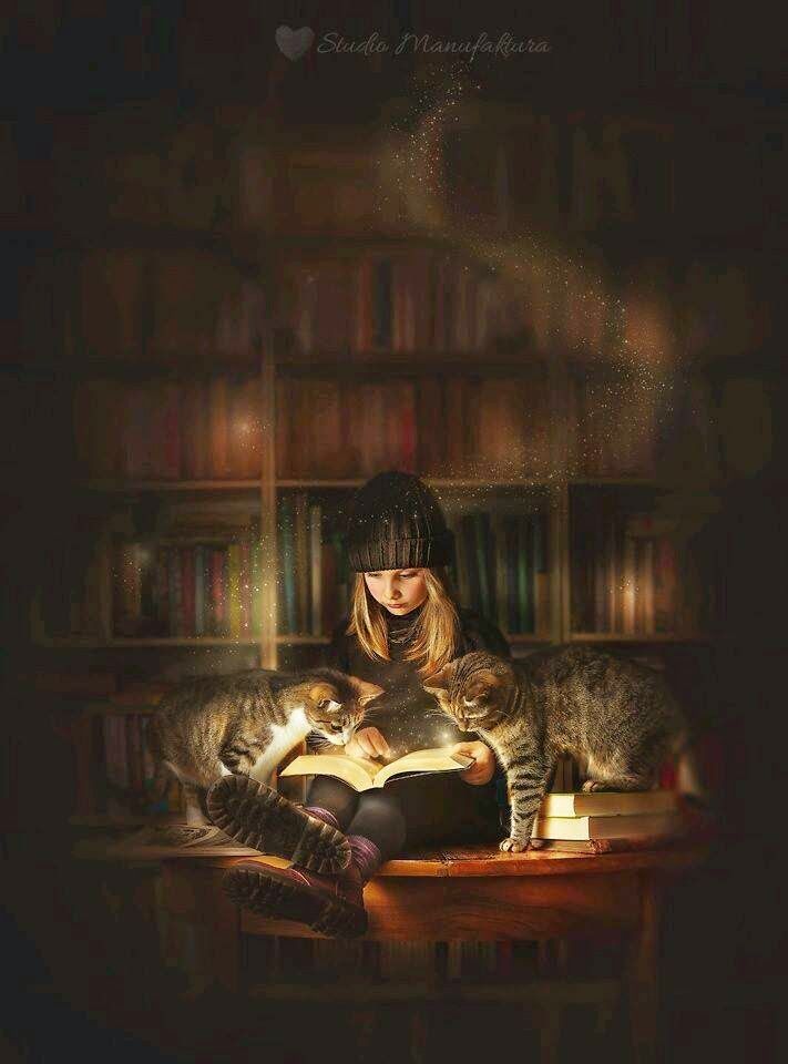 Раааз.. двааа.. три.. Блог Ликульки Свети :  - Трошки котиків вам у стрічку.jpeg