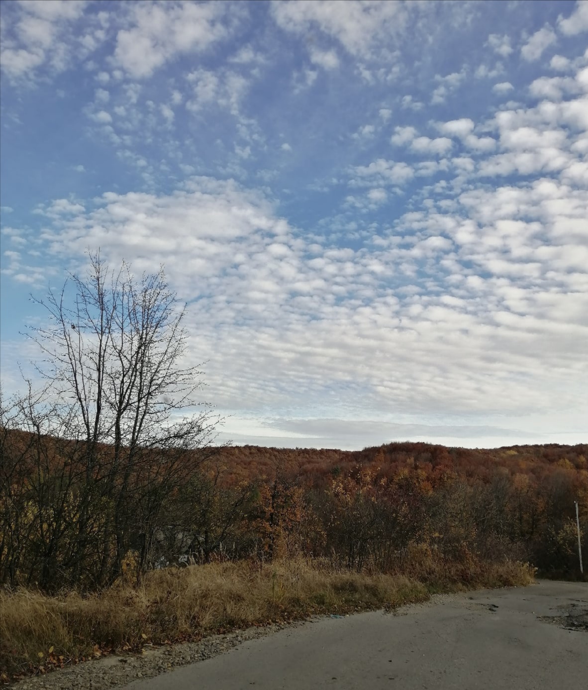 Заметки на полях. Ellga - IMG_20211029_114105.jpg