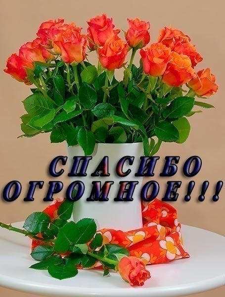 Talullah Tu, огромное спасибо  - original.jpeg