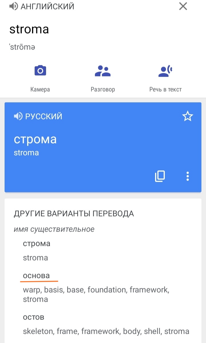 Блог mudder - IMG_20211203_165742.jpg