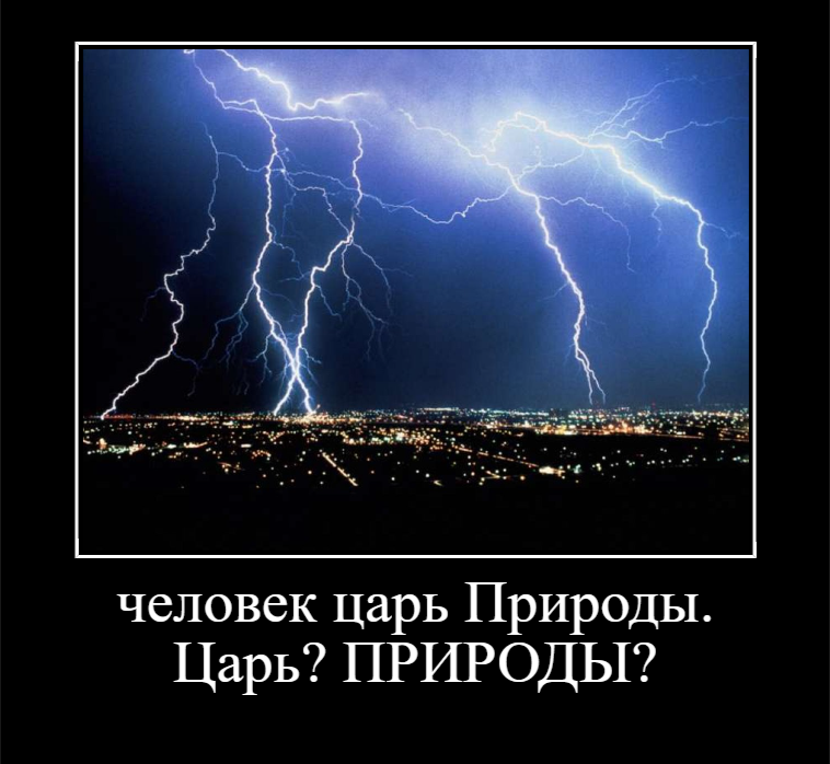 Эволюция Разума - dem_61acf1acb577d.png
