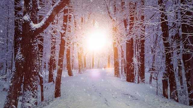Гороскоп на неделю 13 - 19 СЕНТЯБРЯ 2021 - Гороскоп на неделю 13-19 декабря 2021 тм.jpg
