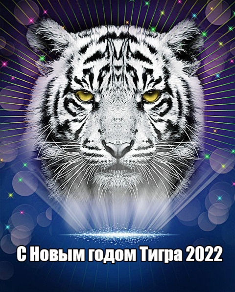 Блог mudder - kartinki-s-tigrom-i-novogodnimi-pozdravleniyami-19.jpg