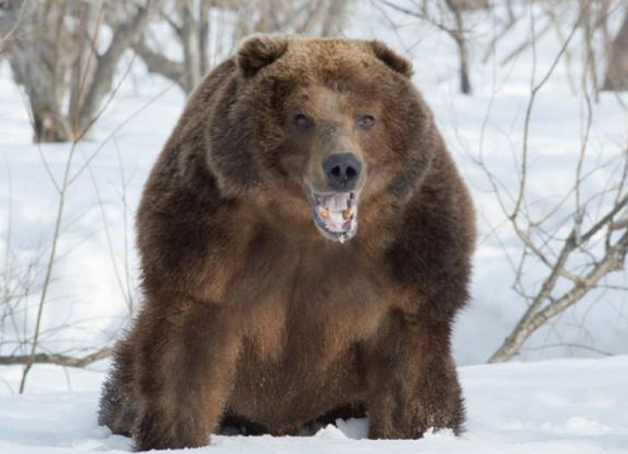 Блог mudder - u_23a86ea28d80608ba5d79ca839ef5e80_800.jpg
