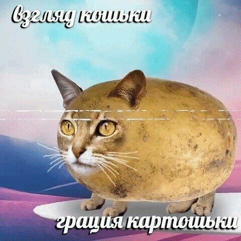 Блог mudder - chilipizdrik-2.jpg