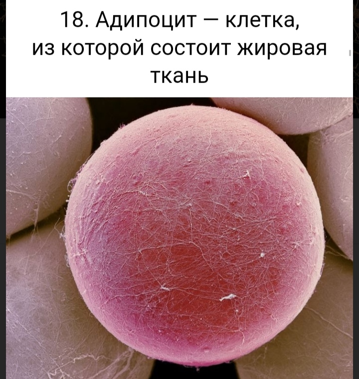 Блог mudder - IMG_20220105_072013.jpg
