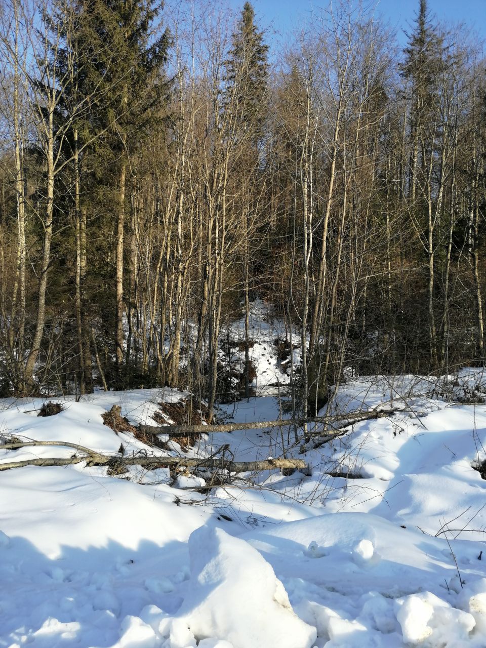 Заметки на полях. Ellga - IMG_20220214_221119_922.jpg
