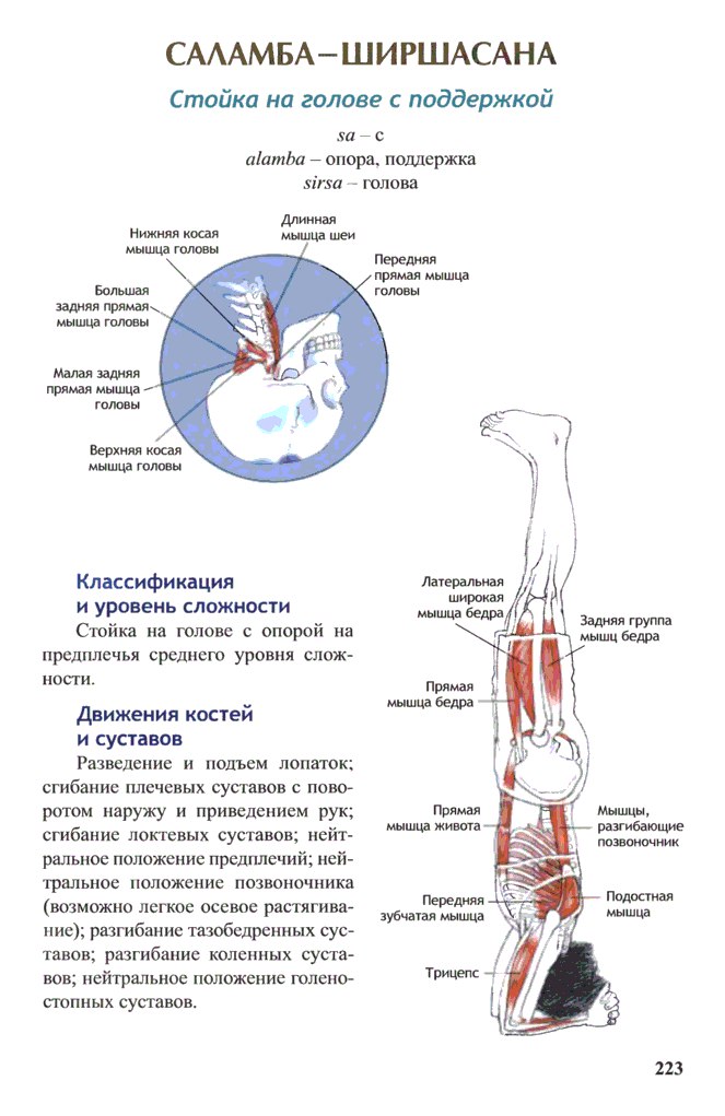 Йога для оздоровления нервной системы и развития ментальной силы. - DOzDAs7KCLE.jpg