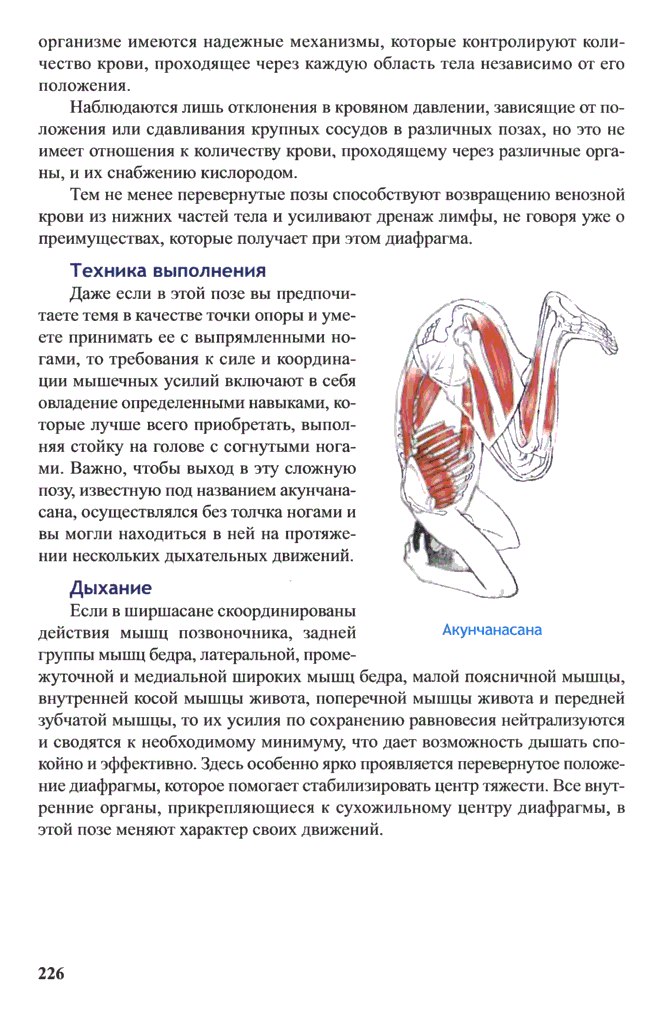 Йога для оздоровления нервной системы и развития ментальной силы. - Lup6yQ3goaY.jpg