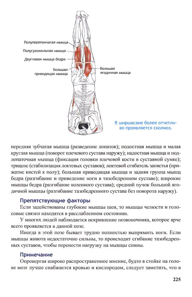 Йога для оздоровления нервной системы и развития ментальной силы. - 1Hz2Y0ROVT0.jpg