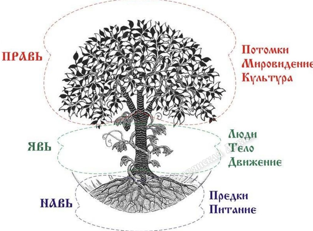 Блог mudder - javnav-i-prav.jpg
