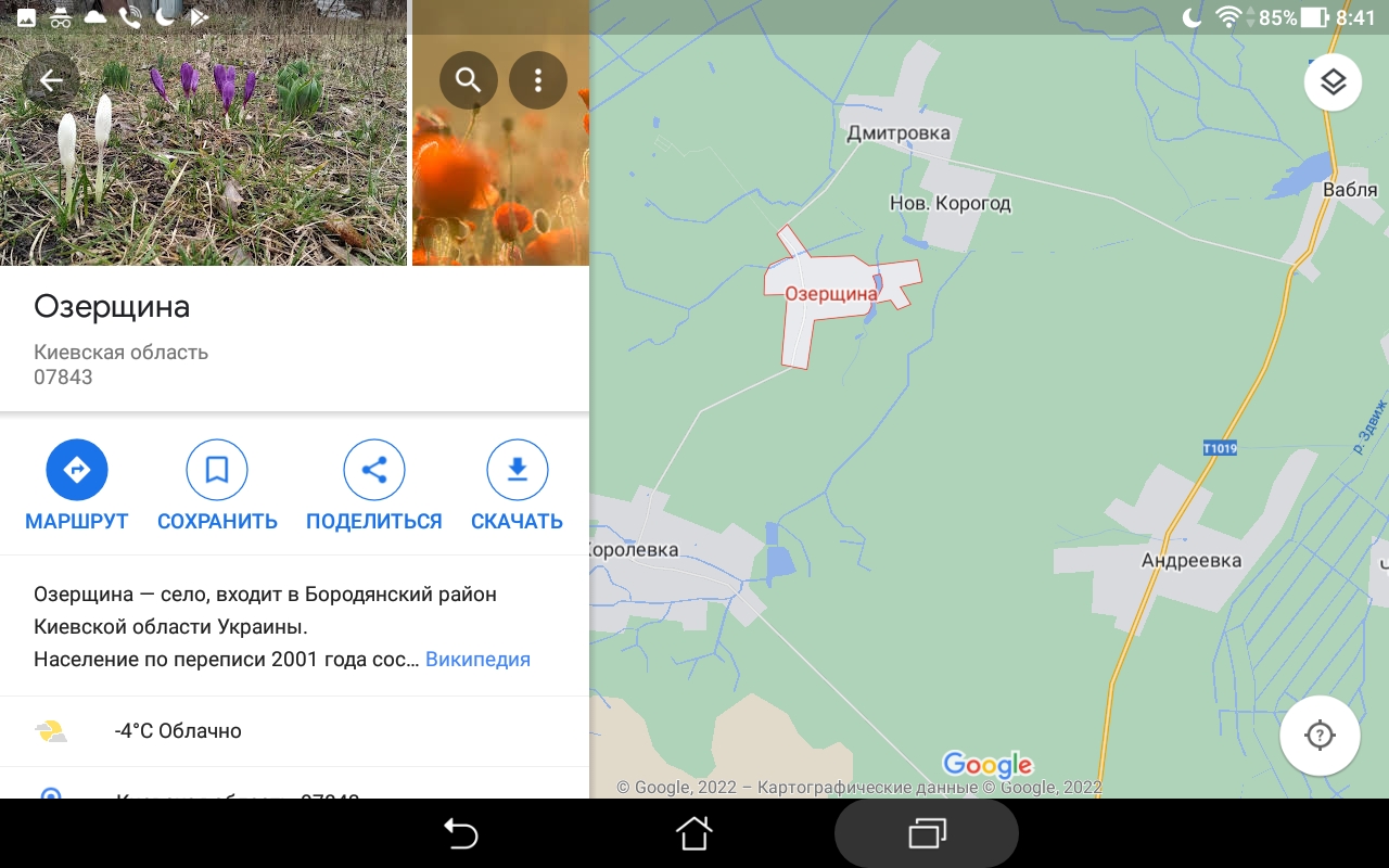 Прошу помощи - пропала кошка, очень сложная ситуация. - Screenshot_20220309-084114.jpg