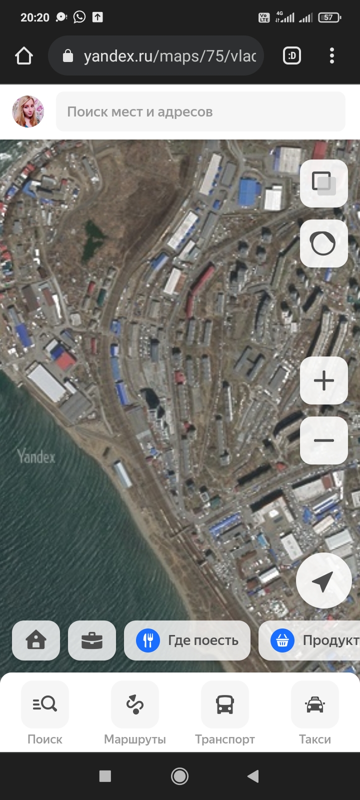 Пропал кот? Умер или жив? Поиск по карте 128591; 127995; - Screenshot_2022-04-02-20-20-18-810_com.android.chrome.jpg