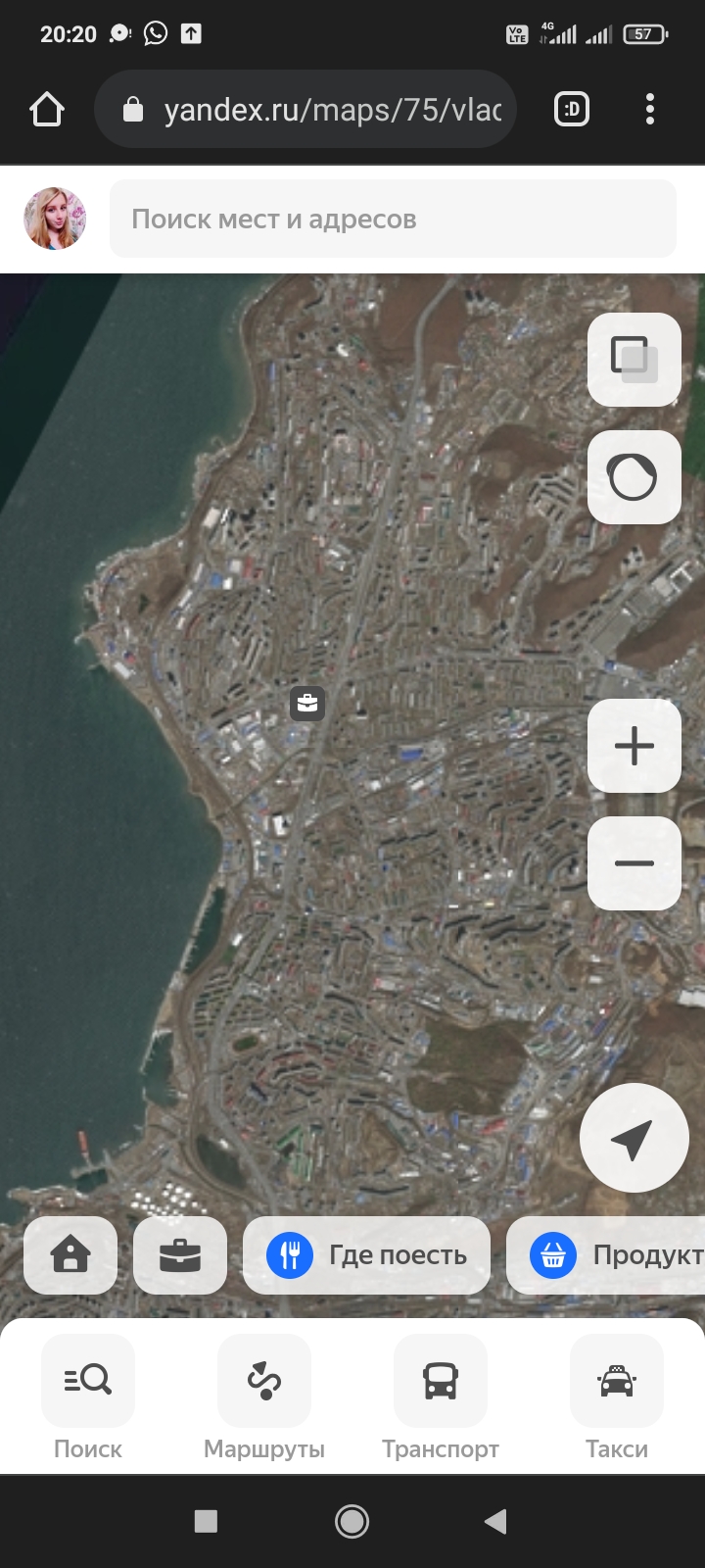 Пропал кот? Умер или жив? Поиск по карте 128591; 127995; - Screenshot_2022-04-02-20-20-32-170_com.android.chrome.jpg