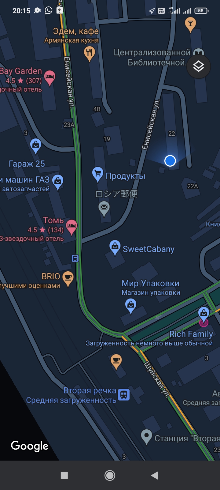 Пропал кот? Умер или жив? Поиск по карте 128591; 127995; - Screenshot_2022-04-02-20-15-19-853_com.google.android.apps.maps.jpg