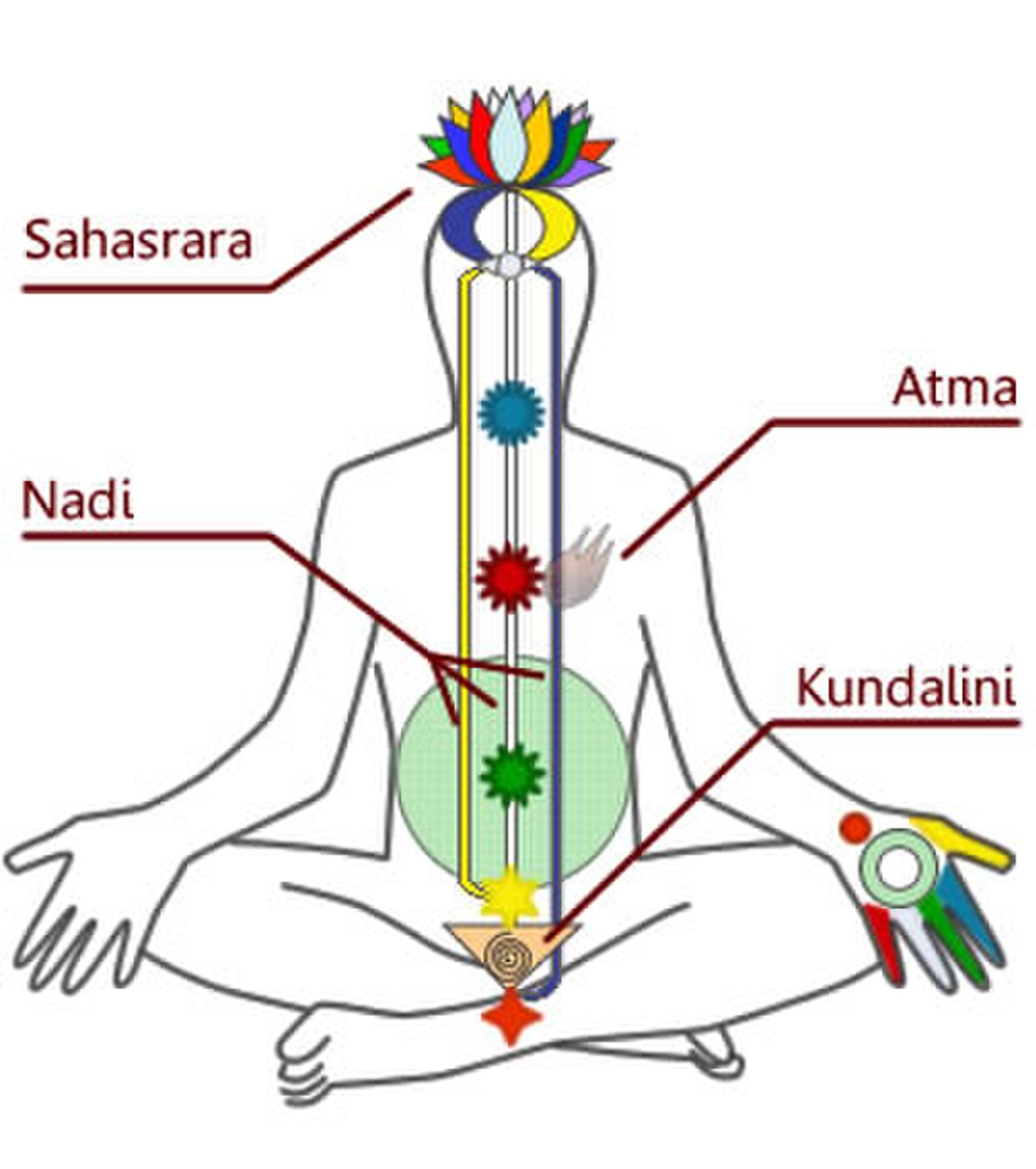 Блог mudder - DiagrammaChakraKundalini.jpg