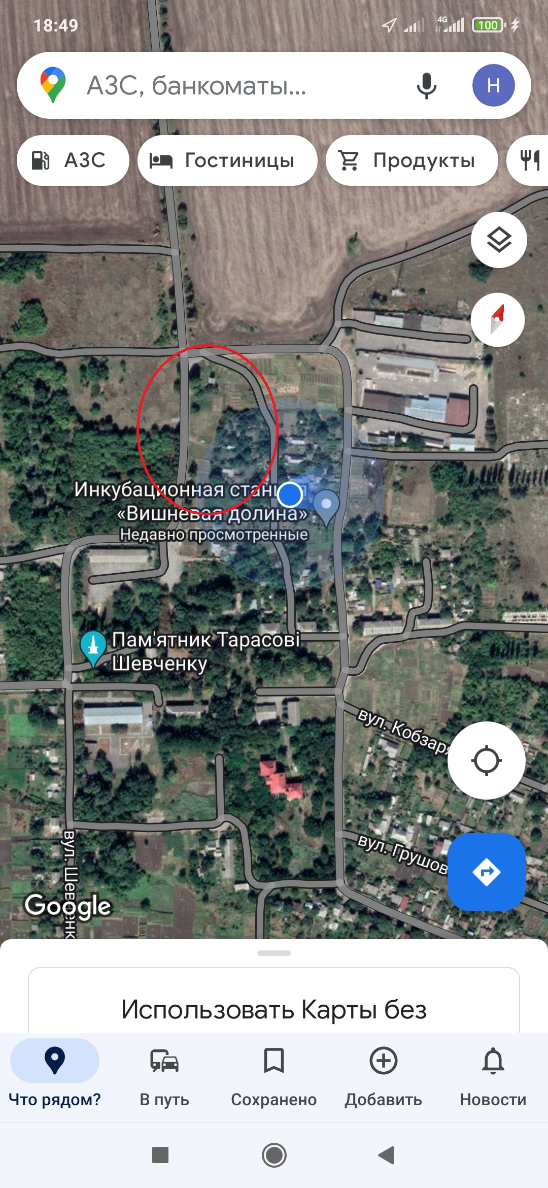 Нужна помощь  - котик.jpg