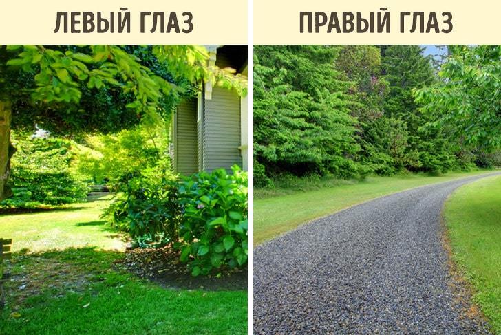 Блог mudder - 1557150058112859298.jpg