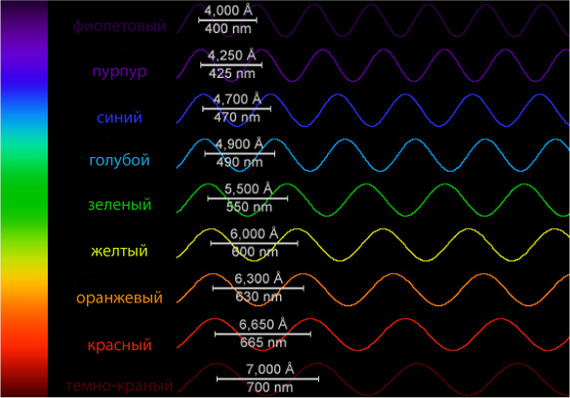 Блог mudder - радуга.png
