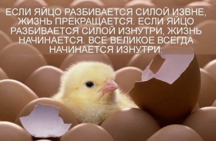 Блог mudder - IMG_20221013_200127.jpg