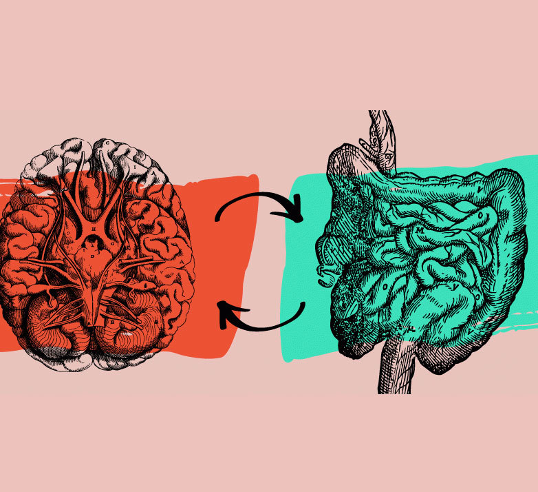 Блог mudder - content_brain-in-intestines2.jpg