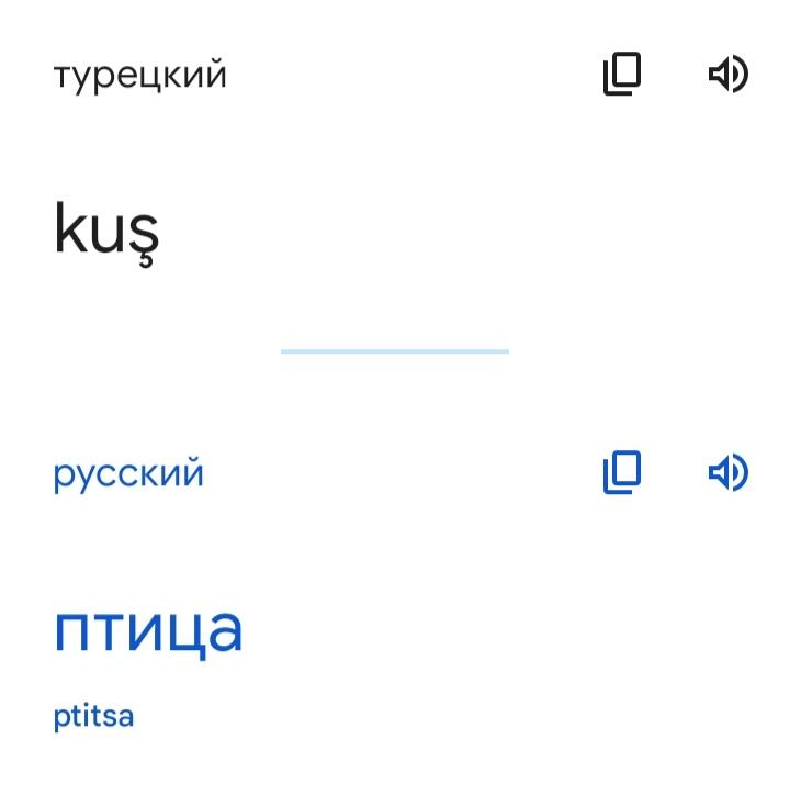 Блог mudder - IMG_20221109_212958.jpg