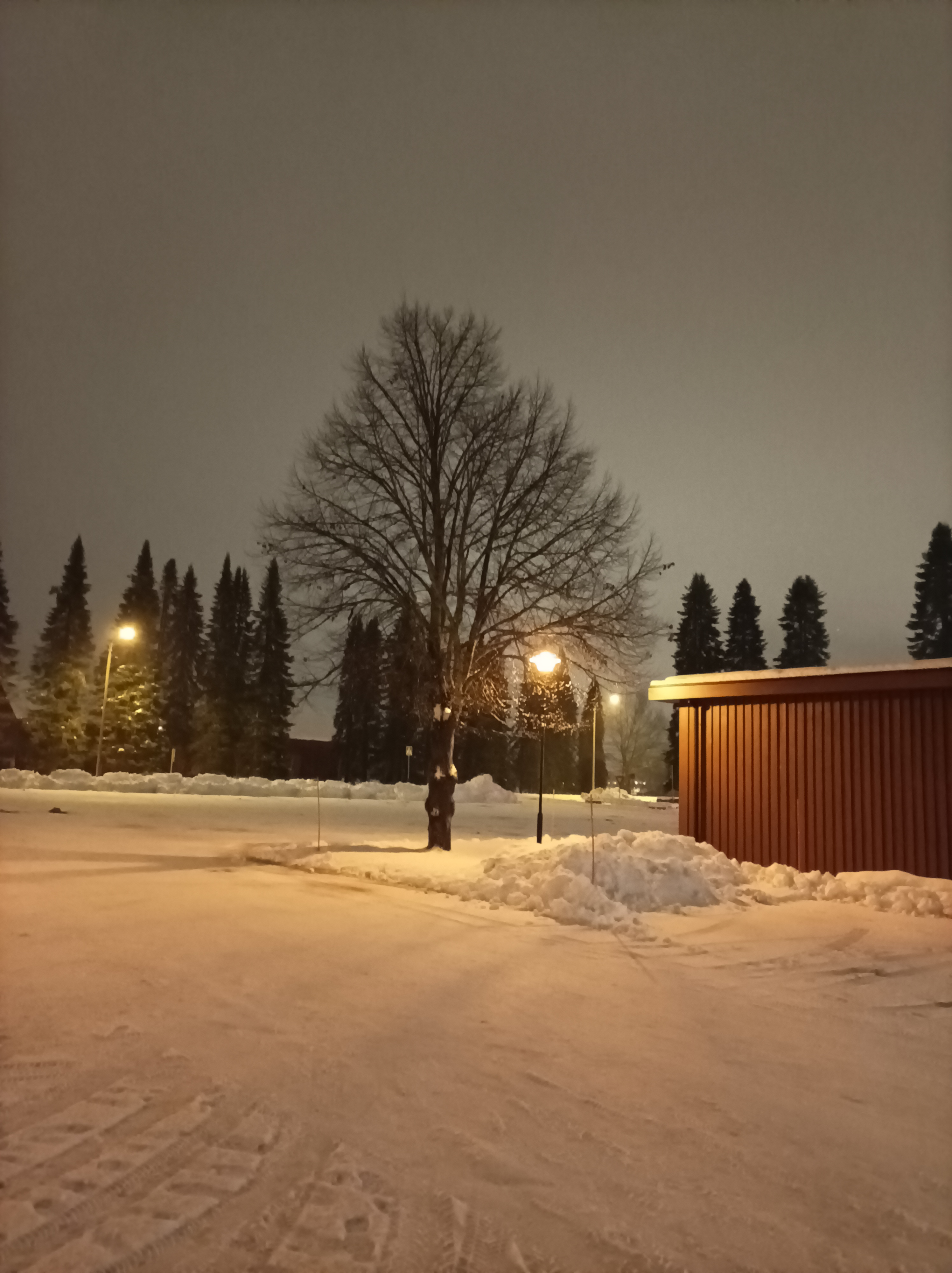 Заметки на полях. Ellga - IMG_20221218_175638.jpg