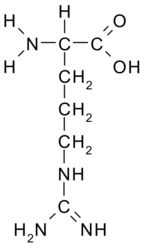 Тотемы. - Arginine.png