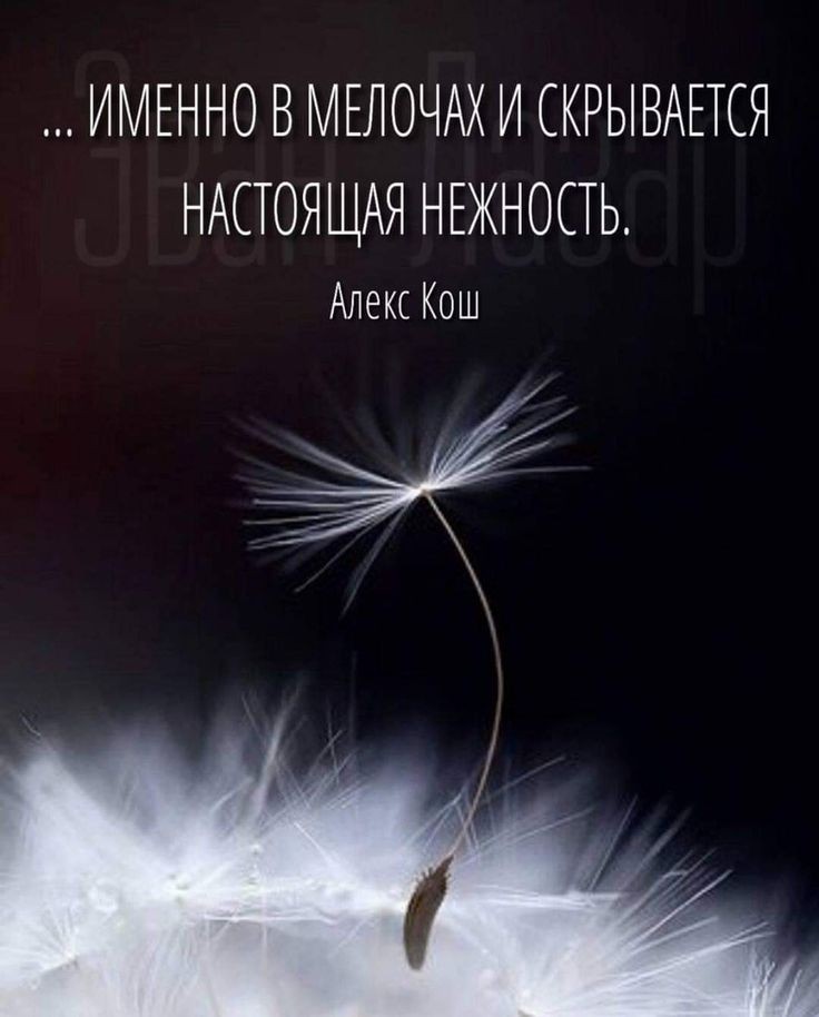 Раааз.. двааа.. три.. Блог Ликульки Свети :  - fd4cbbc5aaeab671219816cc1b81fef9.jpg