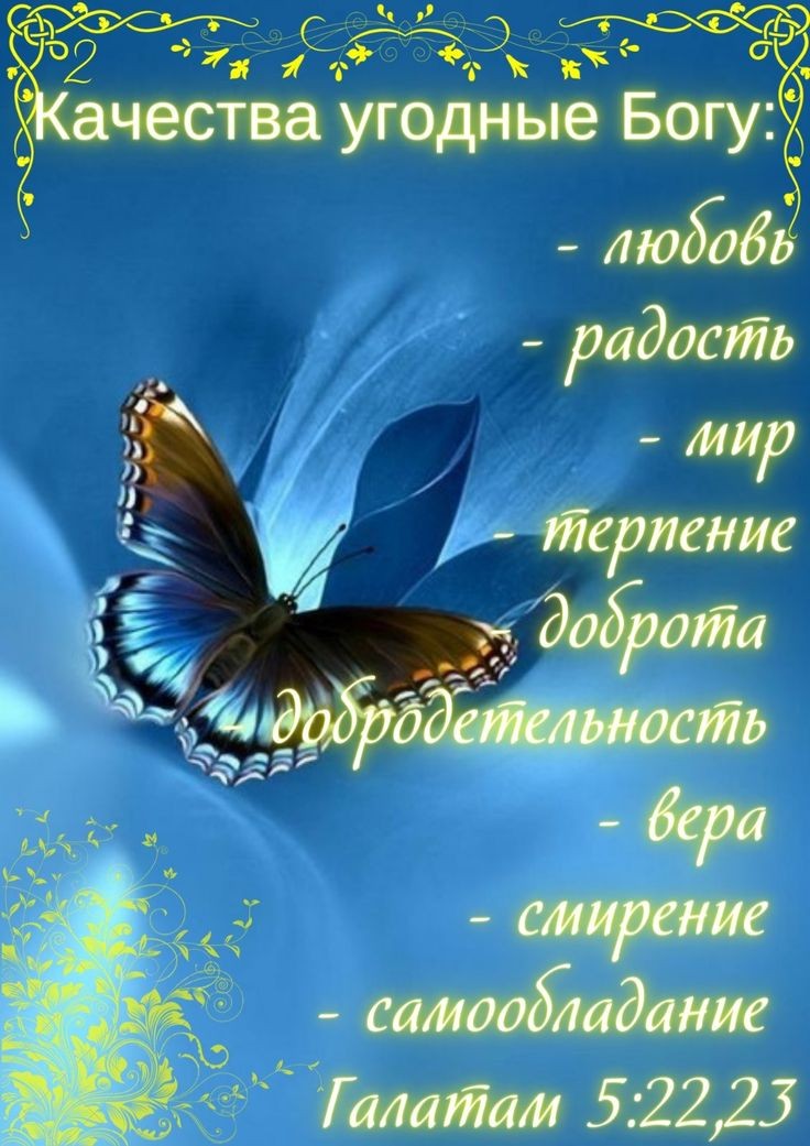 Раааз.. двааа.. три.. Блог Ликульки Свети :  - 5d744f4512378c604db7eaf631ac8c79.jpg