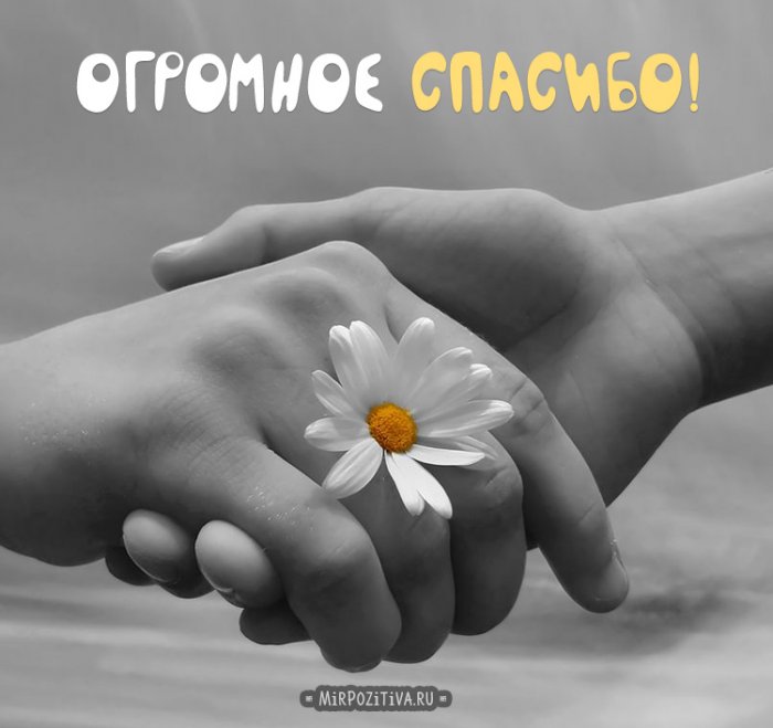 Волчьи стихи - 901e57cec50663d66c23169698d8e762.jpg