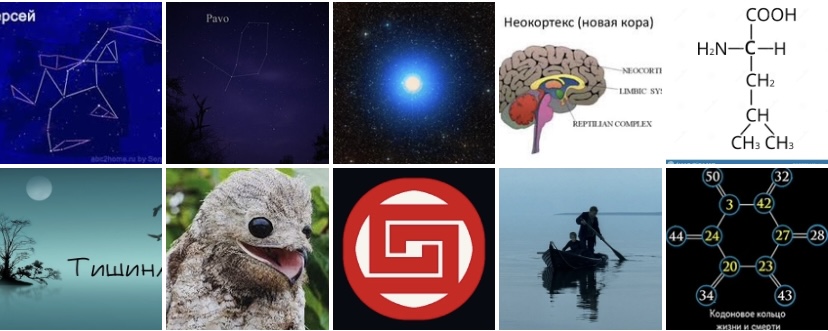 Тотемы. - 67C884AD-60B1-4558-9D0C-50E480F3D71D.jpeg