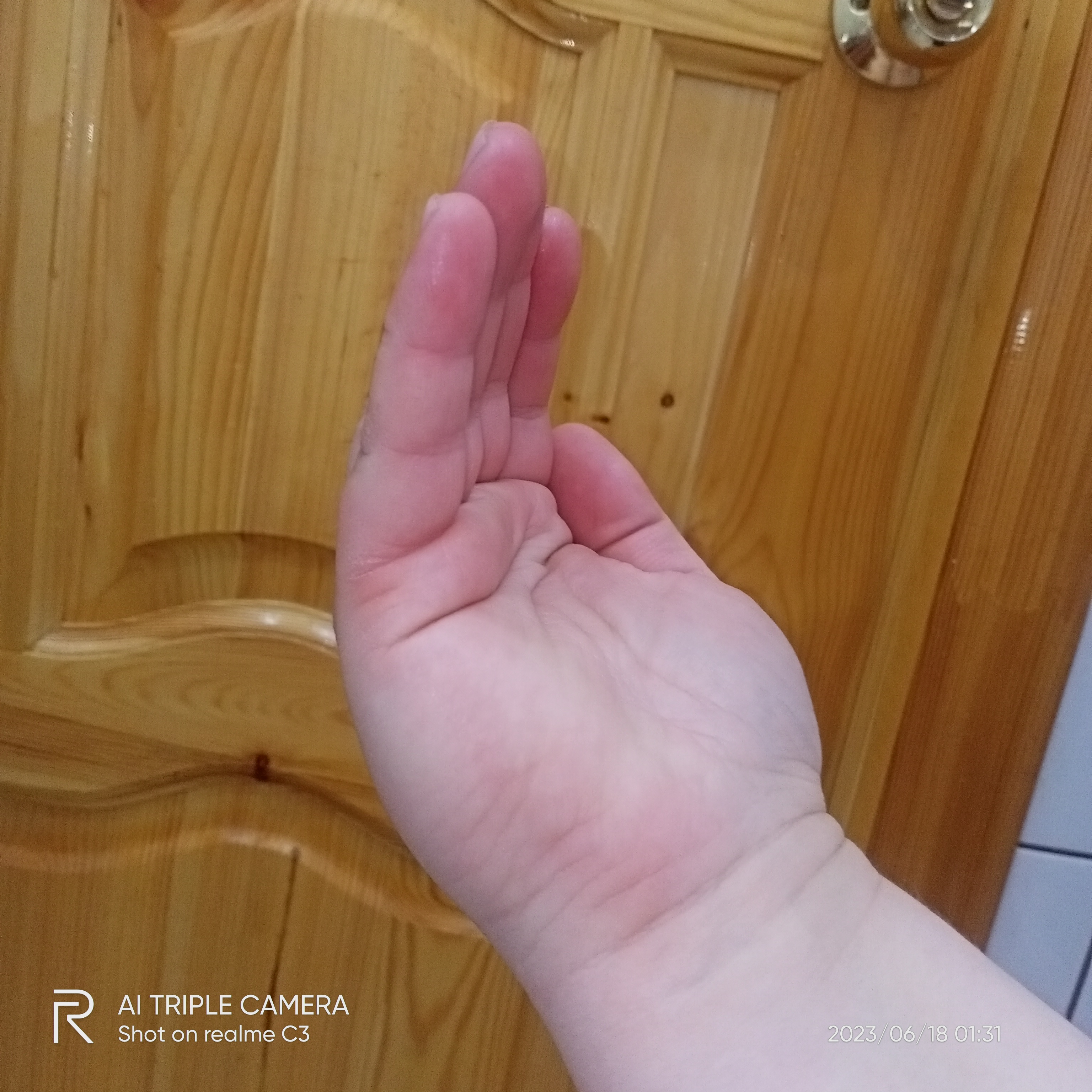 Вопросы по Хирологии писать здесь. Просмотр ладони. Тема для данных - IMG20230618013115.jpg