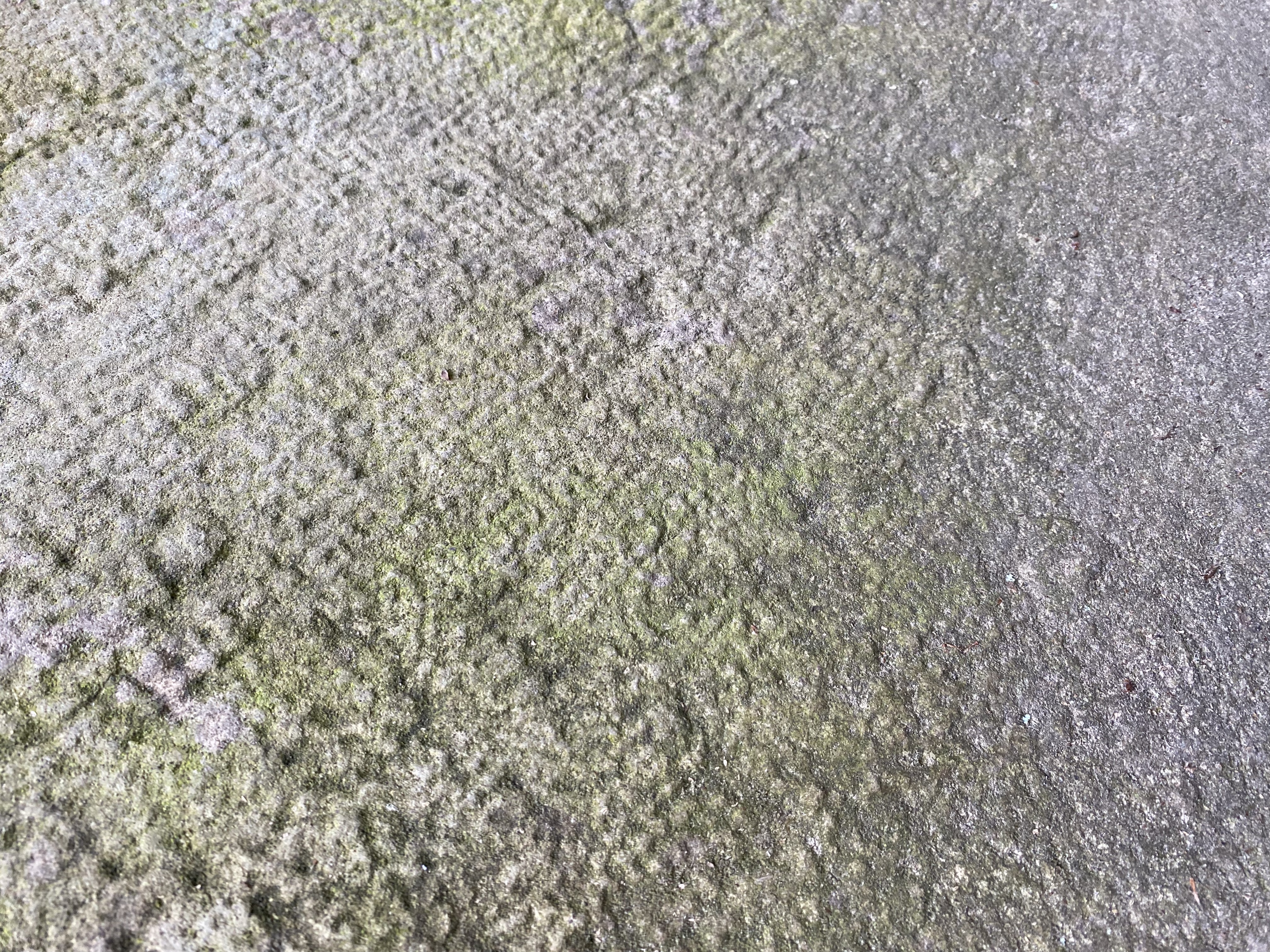 Аномальная зона. - 0442125A-C68A-4A0D-BBD9-A76DF435EC81.jpeg