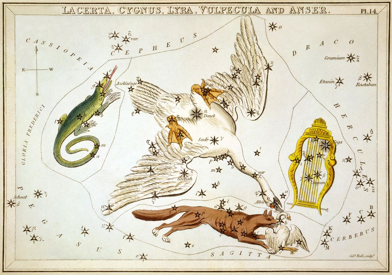 Знаки судьбы - Sidney_Hall_-_Urania's_Mirror_-_Lacerta,_Cygnus,_Lyra,_Vulpecula_and_Anser.jpg