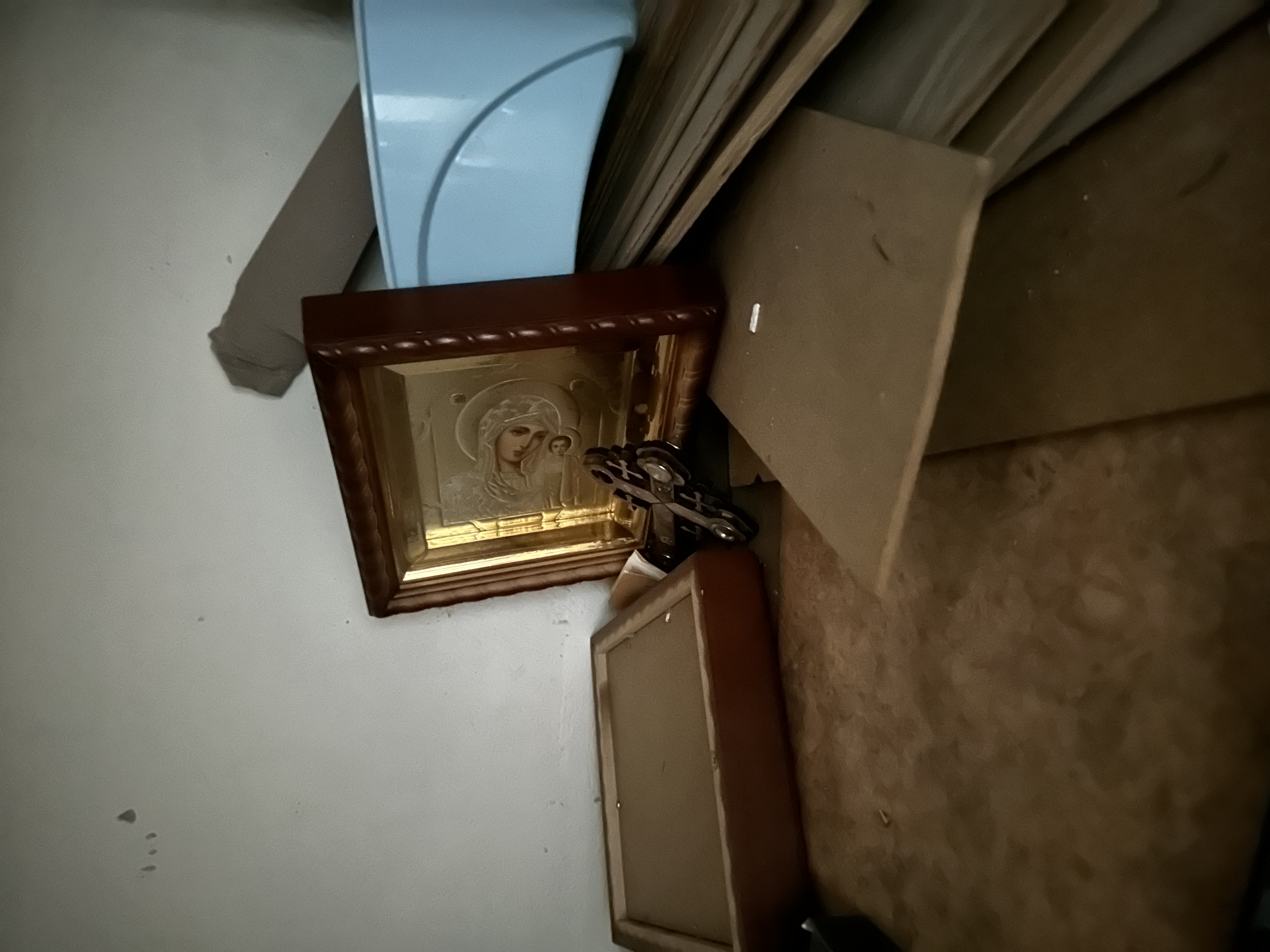 Находка в квартире - 8AD4565E-D27A-4C52-A7E4-697AC006C4AA.jpeg