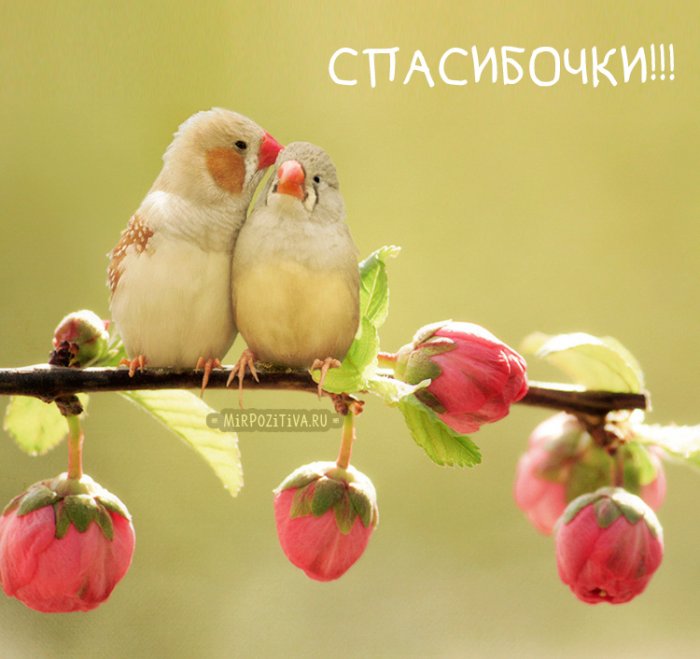 Мультики, сказки.. : мудрые, интересные,красивые,добрые,смешные..фэнтези,аниме..и т.п : для вдохновения и размышлений - 6082de066eb73e56f34af8d25101fa2e.jpg