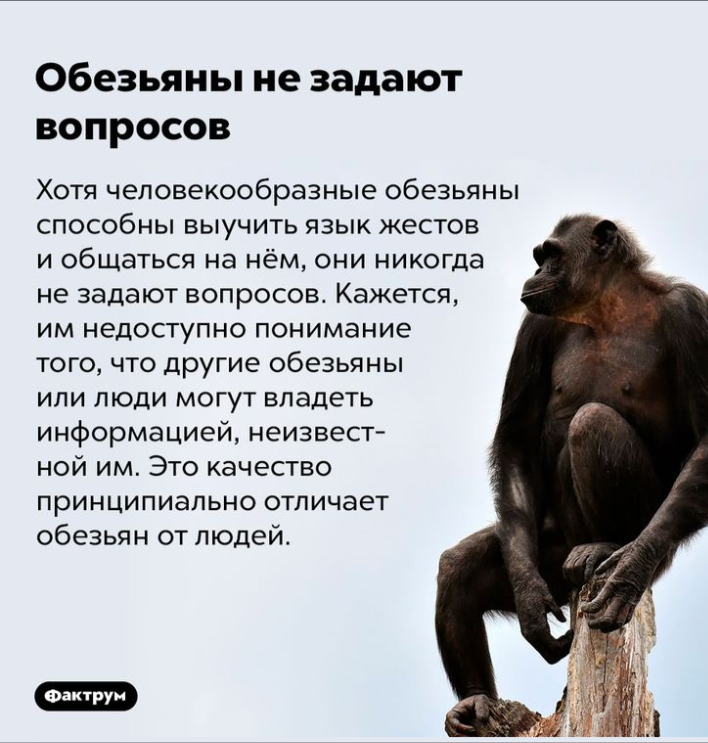 Что такое магия? - upload_2023_08_22_19_25_25_554.png