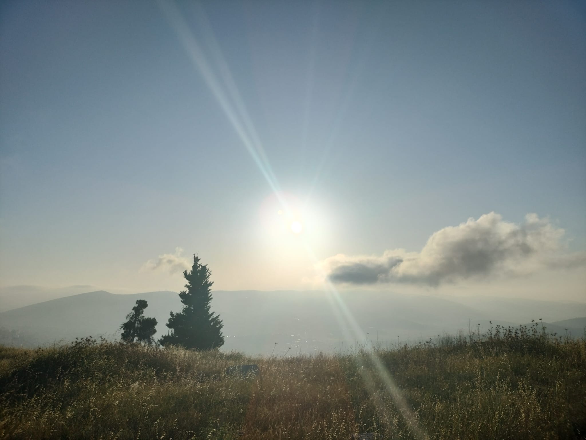 мои картины - IMG-20230528-WA0025.jpg