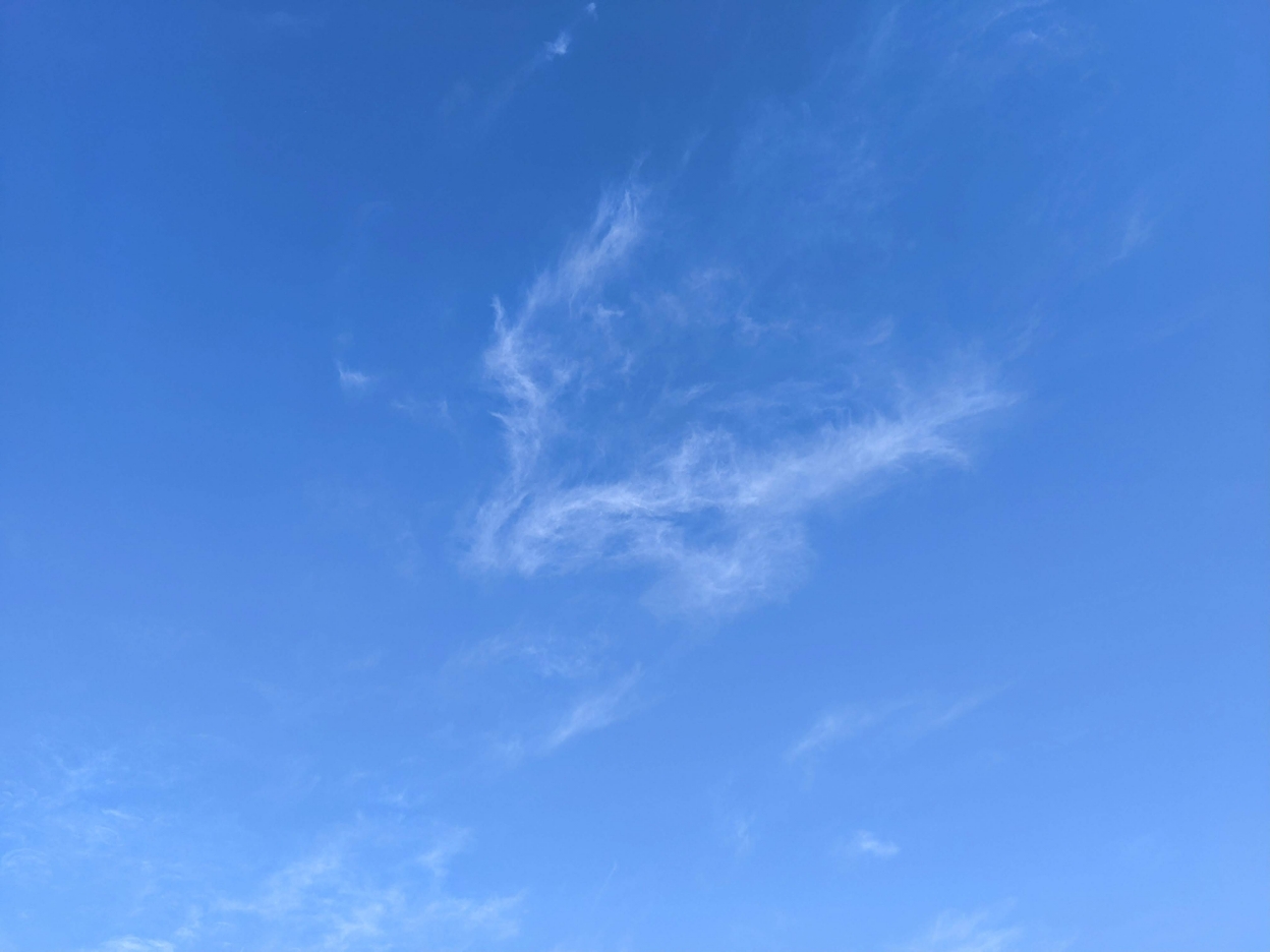 Знаки судьбы - PXL_20230924_073252642.jpg